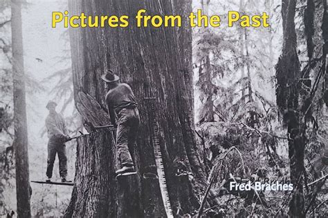 Book preserves photos of Maple Ridge history - Maple Ridge-Pitt Meadows News