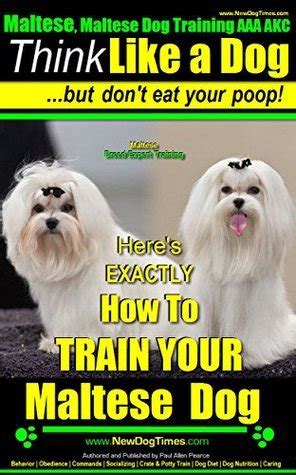 Maltese, Maltese Dog Training AAA AKC: Think Like a Dog ~ But Don'T Eat Your Poop! | Maltese ...