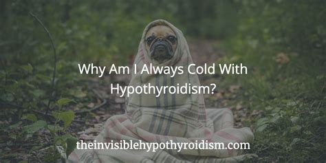 Why Am I Always Cold With Hypothyroidism?