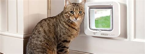 CAT FLAP DOOR INSTALLATION ACP Windows and Doors