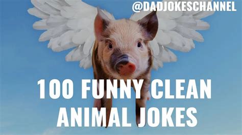 100 Funny CLEAN Animal JOKES - Cat Dog Pig Elephant Duck Rabbit