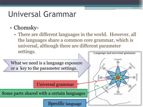 PPT - Chapter 1 Language and Linguistics PowerPoint Presentation, free ...