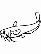 Common Catfish Coloring Page sketch template
