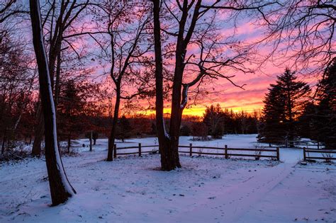 Michigan Nut Photography | Winter in Michigan