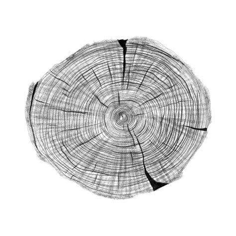 Wood Ring PNG Picture, Tree Ring Wood Texture Style, Tree Ring, Wooden, Texture PNG Image For ...