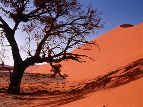 landscapes, Nature, Deserts, Sand, Dunes, Africa Wallpapers HD / Desktop and Mobile Backgrounds