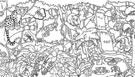 Shop for SonQuest Rainforest Coloring Mural by Gospel Light Publications including information ...