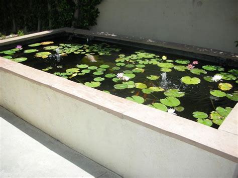 rectangular ponds - Google Search | Garden pond design, Water features in the garden, Country ...