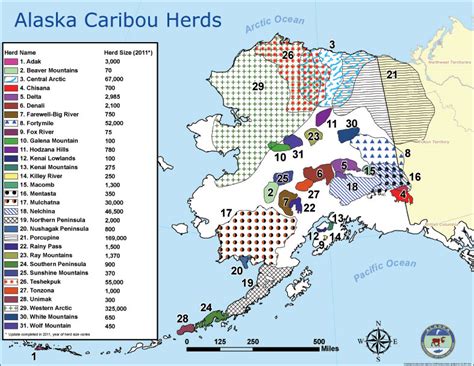 Size and range of Alaskan Caribou/Reindeer herds. : r/MapPorn