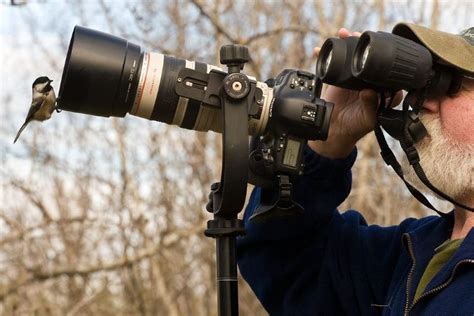 3 Best DSLR Cameras for Wildlife Photography [Read Before Buying]