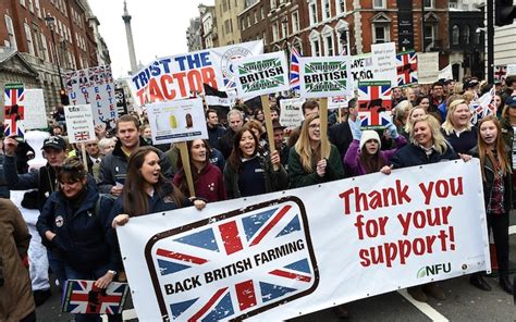 Farmers march on London in latest cry for help for embattled industry