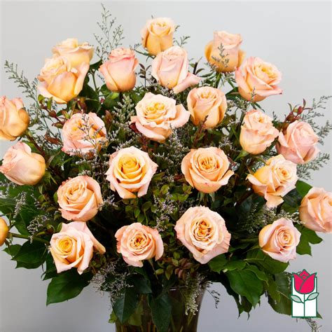 Beretania's 2 Doz. Extra Long Stem Peach Rose Bouquet in Honolulu, HI ...