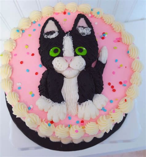 Pin on Will cake | Birthday cake for cat, Cat cake, Animal cakes