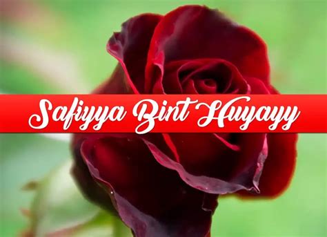 Biography of Safiyya Bint Huyayy (رضي الله عنه) - Quran Mualim