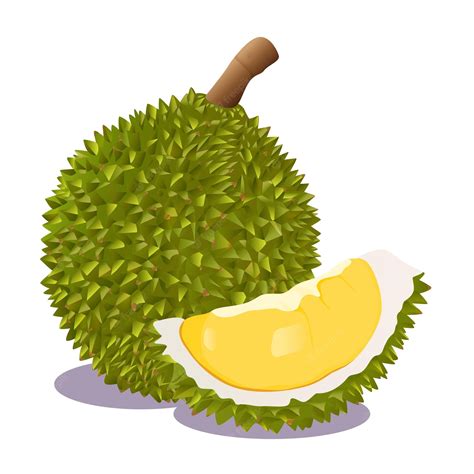 Buah Buahan Png Kartun Durian Clip Art At Clker Com Vector Clip Art ...