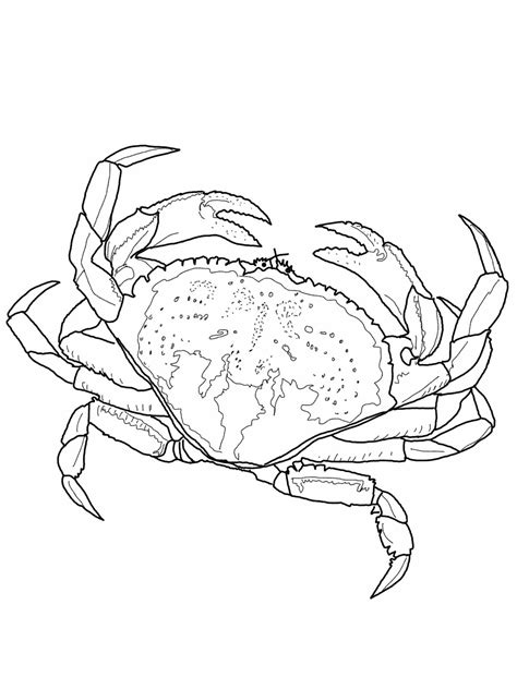 Free Printable Crab Coloring Pages For Kids