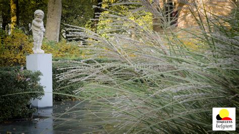 The enchanting landscape of Ooidonk castle gardens in autumn