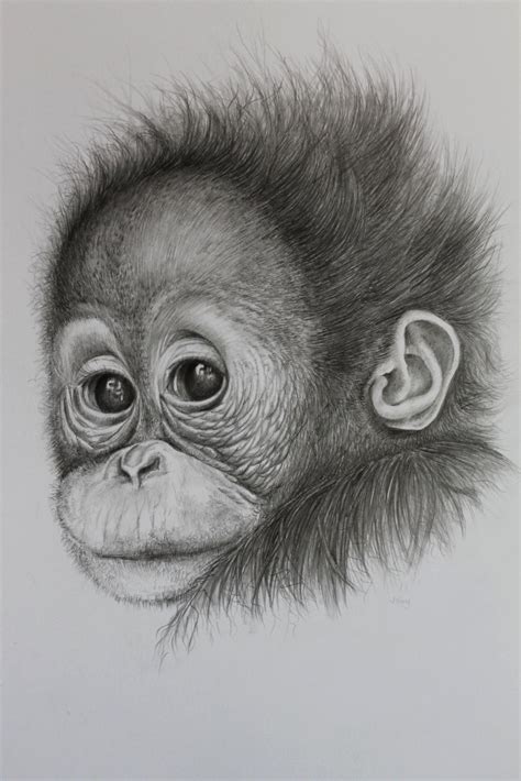 Innocence,Baby Orang Utan Portrait | Babies, Portrait and Etsy