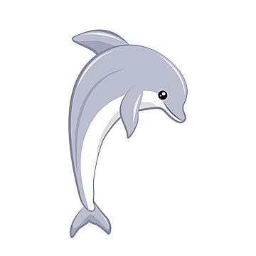 Dolphin Vector Art PNG Images | Free Download On Pngtree