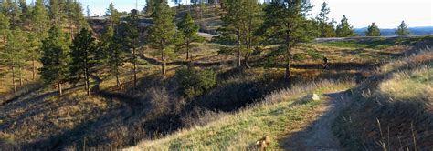 Skyline Drive Wilderness Area — Black Hills Hiking, Biking, and More