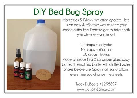 bed bug spray | Bed bugs essential oils, Bed bug spray, Essential oil bug spray