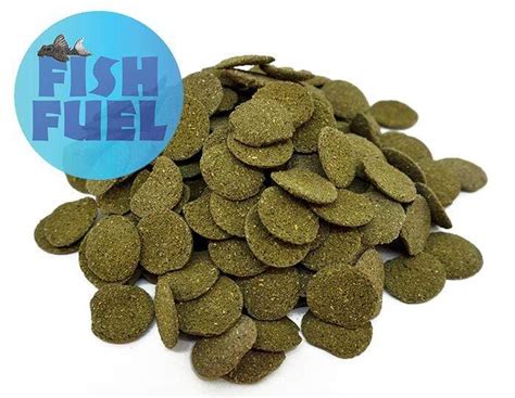 Tropical Fish Food Flakes in Bulk - Pet Food Guide