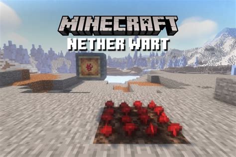 What is Nether Wart in Minecraft? All You Need to Know | Beebom