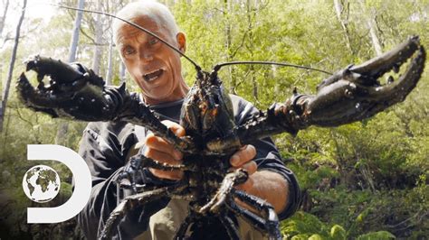 Jeremy Wade Finds Giant Crayfish | Jeremy Wade's Dark Waters – Go IT