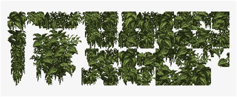 Vine Texture Png Graphic Free Library - Plant Texture Png Ivy - Free Transparent PNG Download ...