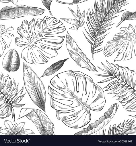 Hand drawn tropical leaves pattern sketch drawing Vector Image