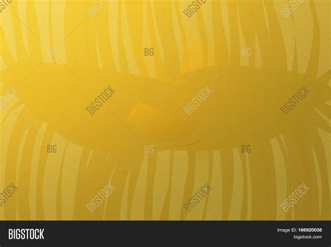 Gold Paint Texture Image & Photo (Free Trial) | Bigstock