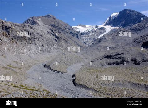 Cristallo Mountain with glacier, Valley of Calves, Stelvio National Park, Italy Stock Photo - Alamy