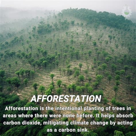 Climate Change Poster Collection of the Day – Afforestation - Science4Data