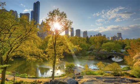 Central Park Sunset Tours - Central Park Sunset Tours | Groupon