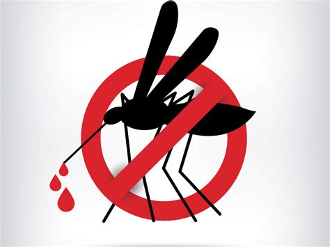 8 practical tips to stay protected from dengue fever