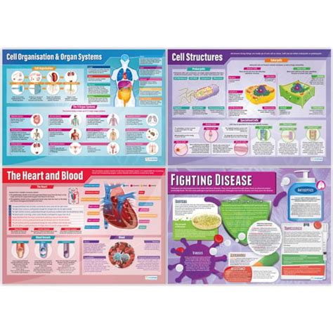 Biology Posters - Set of 13 - Daydream Education