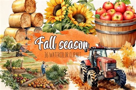 Watercolor Fall Season Harvest Clipart Graphic by Andel creative · Creative Fabrica