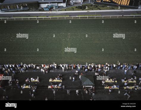 Aerial view of horse track Stock Photo - Alamy