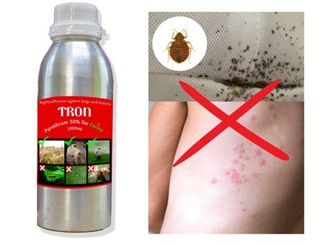 How to Remove Bed Bugs (Khatmal) from Your House: A Comprehensive Guide – Tron Insecticides