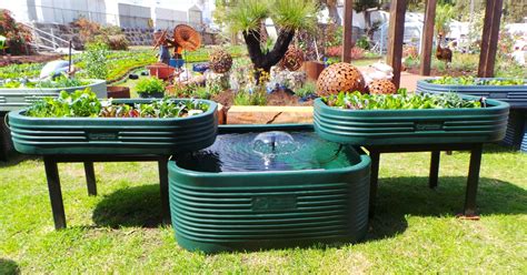 Full Aquaponics Kit - 1100Lt with 2 Growbeds - Woodvale Fish & Lily Farm Perth