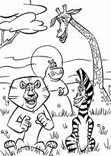 Madagascar Melman Coloring Pages sketch template