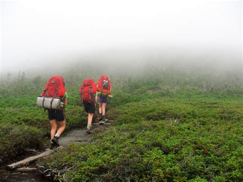 Hiking in the Appalachian Mountains? Here's How You Can Contribute to Science While You're At It ...