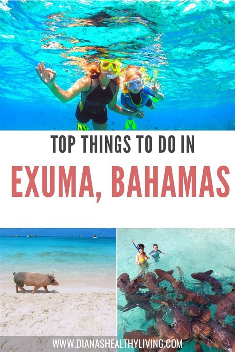 Top Things to do in Exuma Bahamas: Travel Guide | Exuma bahamas, Bahamas travel, Exuma