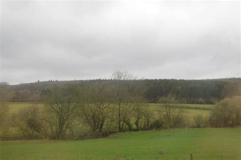 River Frome © N Chadwick cc-by-sa/2.0 :: Geograph Britain and Ireland