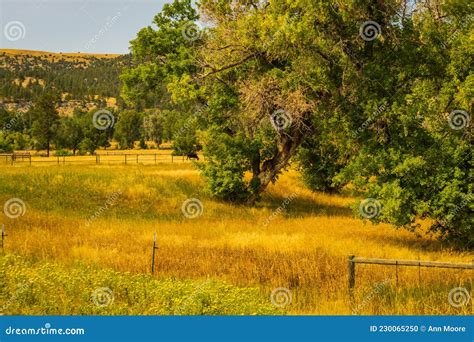 Montana Grasslands Royalty-Free Stock Image | CartoonDealer.com #46842100