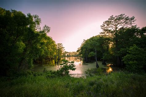 January Board Meeting - Keep Louisiana Beautiful