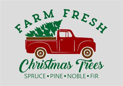 Farm Fresh Christmas Trees | Fresh christmas trees, Spruce pine ...