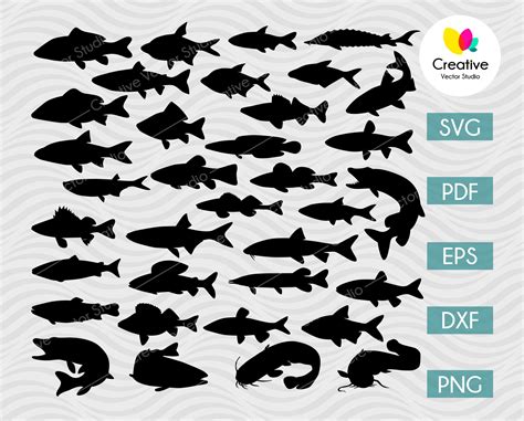 River Fish SVG Bundle | Creative Vector Studio