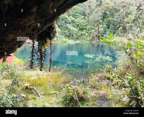 A hidden gem Stock Photo - Alamy