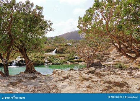 Darbat Waterfalls Near Salalah, Sultanate of Oman Stock Photo - Image of environment, mountain ...